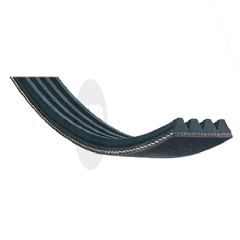 BELT 1951 H6 INDESIT 
